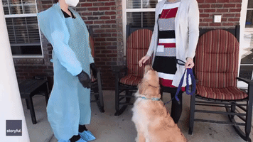 COVID-19 Detection Dog Placed in Atlanta Senior Living Community