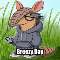 Breeze Armadillo GIF by Chillo Dillo