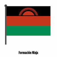 Flag Bandera GIF by Formación Ninja