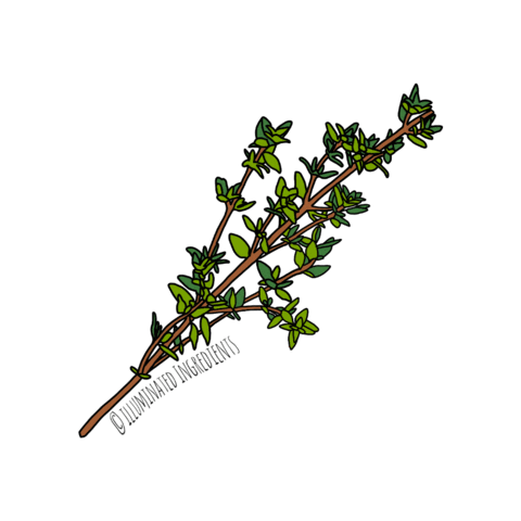 IlluminatedIngredients  Sticker