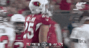 Arizona Cardinals Football GIF by NFL