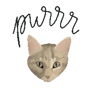 nelevandeweyenberg cat chat handmade kat Sticker