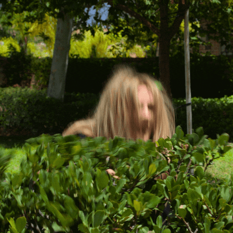 drew barrymore GIF by netflixlat