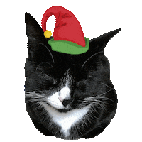 Red Glowing Eyes Sassy Elf Sticker