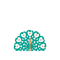 ihfuiuc iran illinois persian iranian Sticker