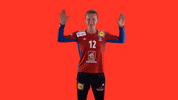 Ffhandball GIF by Fédération Française de Handball