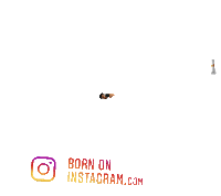 Boistiker9053 Sticker by BORN ON INSTAGRAM