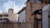 jump parkour GIF by CBS