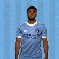 Major League Soccer Reaction GIF by NYCFC
