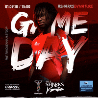SaleSharks rugby sale sharks gallagherprem salesharks GIF