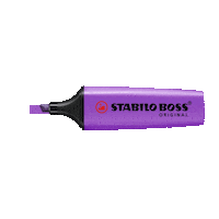 Text Neon Sticker by STABILO