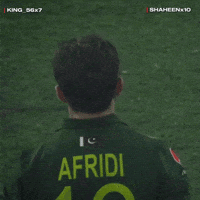 Eagle Sh GIF