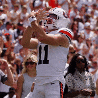 College Football GIF by Auburn Tigers
