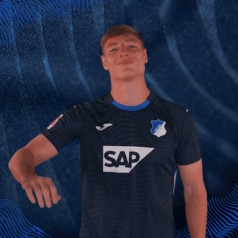 Sport Hallo GIF by TSG Hoffenheim