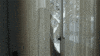 sarah jessica parker hbo GIF by Divorce