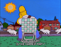 homer simpson GIF
