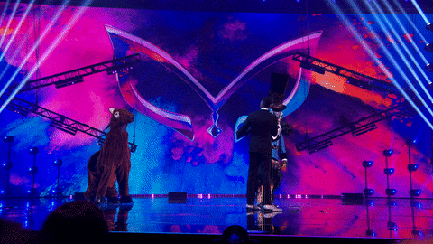 Season 6 Mask GIF by The Masked Singer