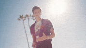 whydontwemusic why dont we cold in la GIF