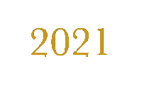 New Year Fireworks Sticker