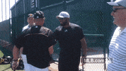pit GIF by MLB