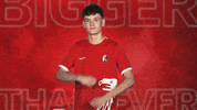 Sc Freiburg Arms GIF by Bundesliga