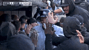 Celebrate Major League Baseball GIF by MLB