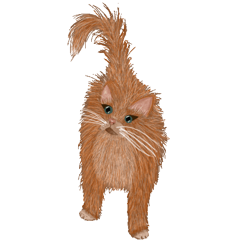 chantallenting giphyupload cat illustration text Sticker