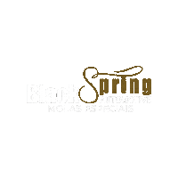 Molas Sticker by Black Spring