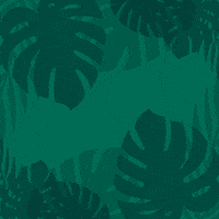 Jurassic Park GIF by Universal Destinations & Experiences