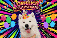 Congrats Bday GIF