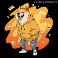 Happy Shiba Inu GIF by Doge Pound
