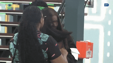 Bbnaija Fights GIF by Big Brother Naija