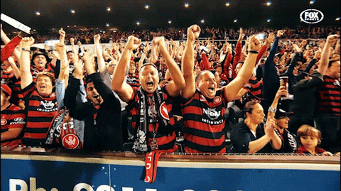 wswanderersfc giphyupload reaction football celebration GIF