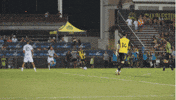 South Carolina Soccer GIF by Charleston Battery