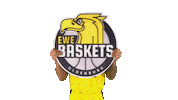Ewe Baskets Basketball Sticker by EWE Baskets Oldenburg
