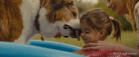 universal pictures GIF by A Dog's Journey