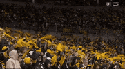 National Football League GIF by NFL