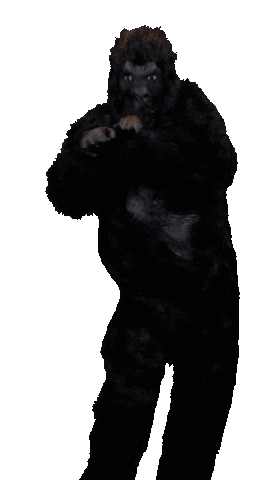 Frank Sticker by Online Monkeys