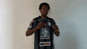 Futbol Mexicano GIF by Club Pachuca Tuzos
