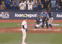 Blue Jays Baseball GIF by Toronto Blue Jays