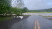 Arkansas Road 'Completely Underwater' After Heavy Rain Overnight