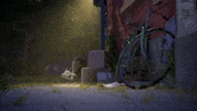 Trash Run Away GIF by Pokémon
