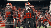 2018 nfl browns win GIF by NFL