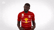 I Dont Know Red Bull GIF by FC Red Bull Salzburg