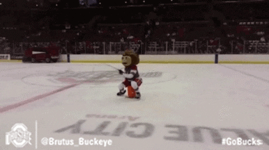 Ohio State Sport GIF by Ohio State Athletics