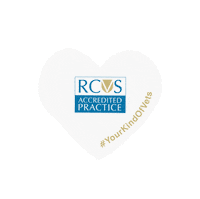 Heart Selfie Sticker by theRCVS