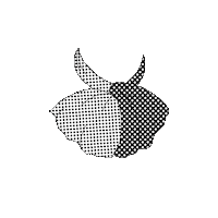 fashion rock Sticker by HOKK FABRICA