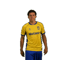Goalcelebration Sejr Sticker by Brøndby IF