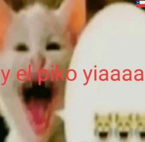 Chechito_chileXd giphyattribution giphycreatortest chile meme gato incredulo GIF