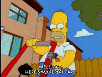 homer simpson GIF